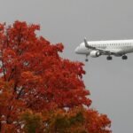 An airliner, making it's approach, flies past a tree in full autumn color, as flight delays surge from the government shutdown which entered its 30th day, in Washington, D.C., U.S., October 30, 2025