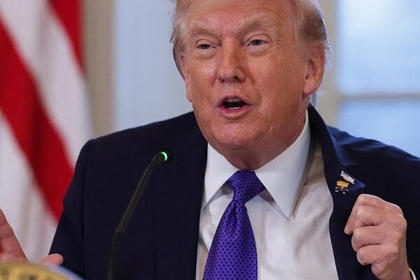 President Donald Trump is acting like the CEO of USA Inc